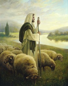 the-good-shepherd-product-image